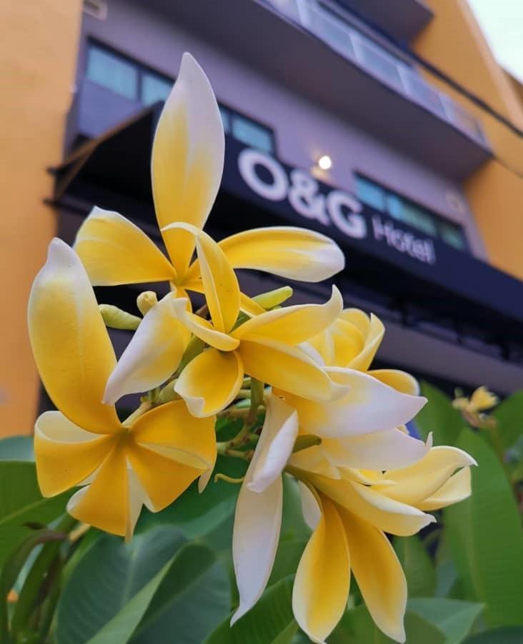 O&G Hotel Parit Buntar Eksteriør billede